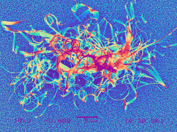 Colorful nanoribbons